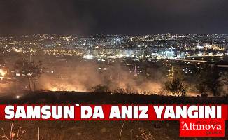 Samsun'da anız yangını