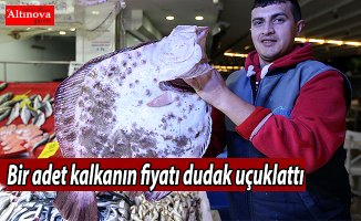 Bir adet kalkanın fiyatı dudak uçuklattı