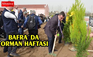 Bafra`da orman haftası