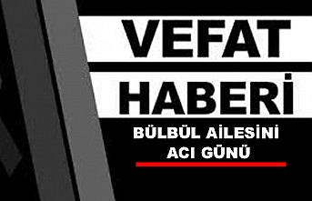 BÜLBÜL AİLESİNİN ACI GÜNÜ