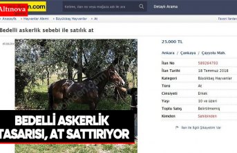 Bedelli askerlik tasarısı, at sattırıyor