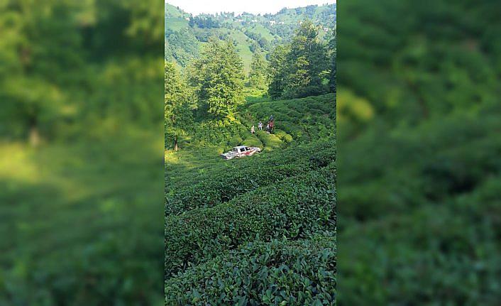 Çay tarlasına yuvarlanan kamyoneti kendi imkanlarıyla kurtardılar