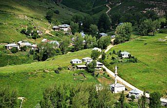 Yeşilin yurdu Gümüşhane yaylaları