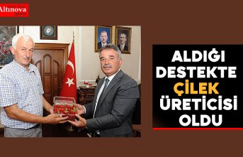 Büyükşehirden Aldığı Destekte Çilek Üreticisi Oldu