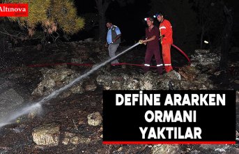 Define ararken ormanı yaktılar