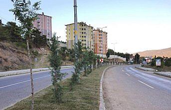 Hanönü'nde belediye çalışmaları