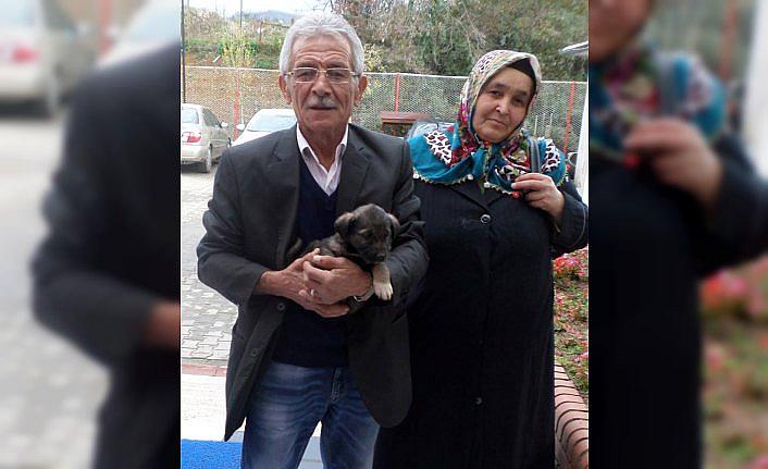 Ordu'da bin 970 köpek sahiplendirildi