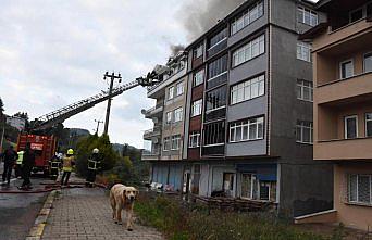 Ordu'da yangın