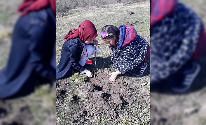 Düzce'de şehitler adına hatıra ormanı oluşturuldu