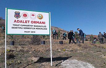 Tokat'ta fidan dikim töreni