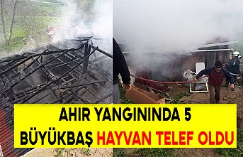 Ahır yangınında 5 büyükbaş hayvan telef oldu