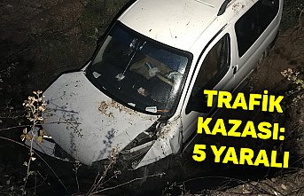 Trafik kazası: 5 yaralı