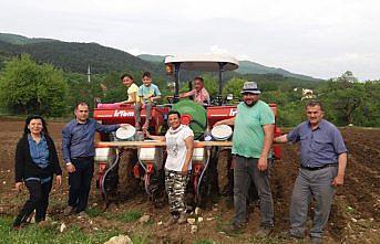 Mengen'de 20 dönüm araziye kuru fasulye ekildi