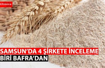 Samsun'da 4 Un Şirketine İnceleme