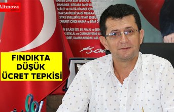 Fındıkta düşük ücret tepkisi