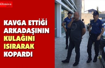 Tartıştığı kişi kulağının bir bölümünü ısırarak kopardı