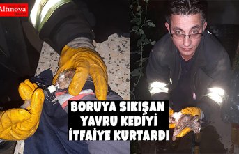 Boruya sıkışan yavru kediyi itfaiye kurtardı