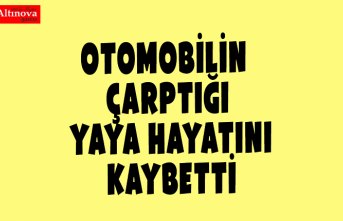 OTOMOBİLİN ÇARPTIĞI YAYA HAYATINI KAYBETTİ