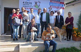 Sahipli kedi ve köpekler için aşı kampanyası