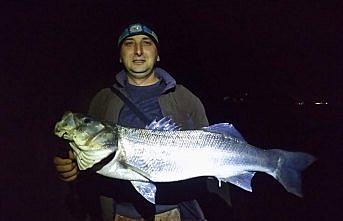 Amatör balıkçının oltasına 7 kilogram levrek takıldı