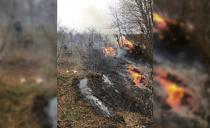 Ordu'daki örtü ve orman yangınları söndürüldü