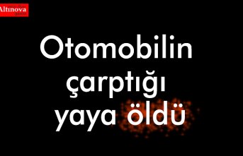 Otomobilin çarptığı yaya öldü