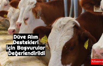 Düve Alım Destekleri İçin Başvurular Değerlendirildi