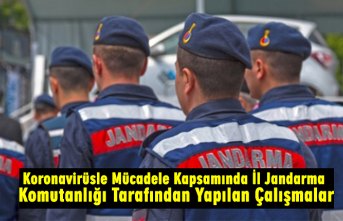 Koronavirüsle Mücadele Kapsamında İl Jandarma Komutanlığı Tarafından Yapılan Çalışmalar