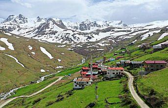 Dünyaca ünlü turizm merkezi Uzungöl'de Kovid-19 sessizliği