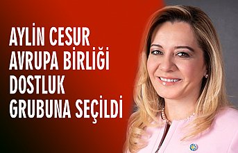 AYLİN CESUR AVRUPA BİRLİĞİ DOSTLUK GRUBUNA SEÇİLDİ