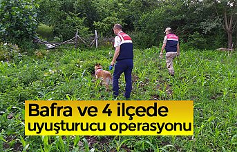 Bafra ve 4 ilçede uyuşturucu operasyonu