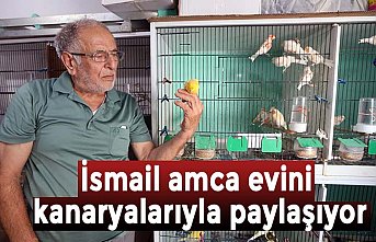 İsmail amca evini kanaryalarıyla paylaşıyor