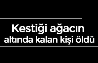 Kestiği ağacın altında kalan kişi öldü