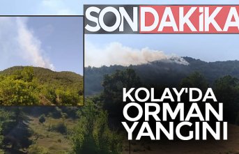 KOLAY'DA ORMAN YANGINI