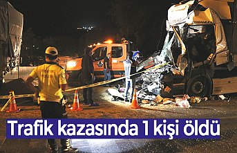 Trafik kazasında 1 kişi öldü