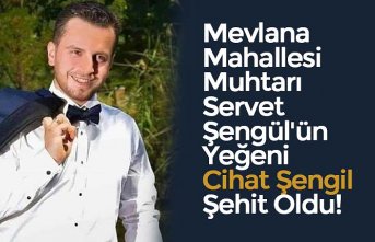 Mevlana Mahallesi Muhtarı Servet Şengül'ün Yeğeni Cihat Şengil Şehit Oldu!