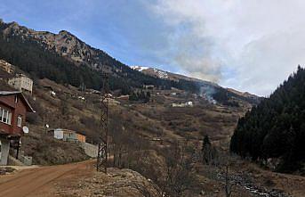 GÜNCELLEME - Rize'de Gölyayla köyünde çıkan yangına müdahale ediliyor