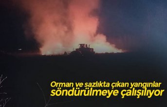 Orman ve sazlıkta çıkan yangınlar söndürülmeye çalışılıyor