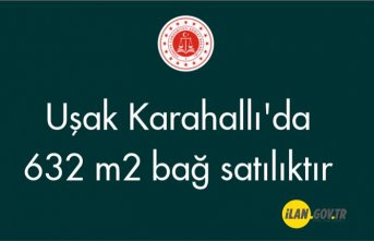 Uşak Karahallı'da 632 m² bağ satılıktır