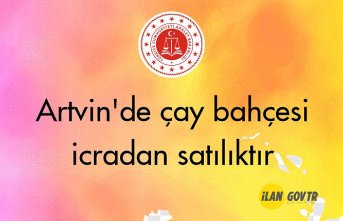 Artvin'de çay bahçesi icradan satılıktır