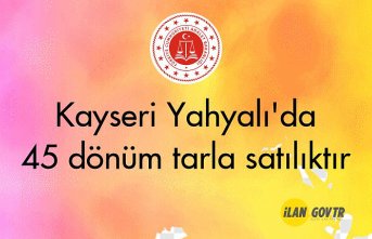 Kayseri Yahyalı'da 45 dönüm tarla mahkemeden satılıktır