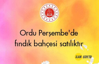 Ordu Perşembe'de fındık bahçesi icradan satılıktır