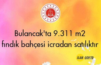 Bulancak'ta 9.311 m² fındık bahçesi icradan satılıktır