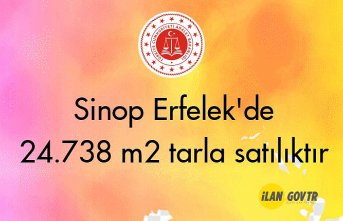 Sinop Erfelek'de 24.738 m² tarla mahkemeden satılıktır