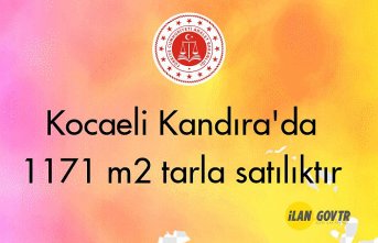 Kocaeli Kandıra'da 1171 m² tarla mahkemeden satılıktır