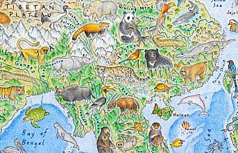 Yeni Zelandalı sanatçı vahşi hayvanları dünya haritası üzerinde resmetti