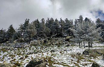 Bolu'nun yüksek kesimlerine kar yağdı