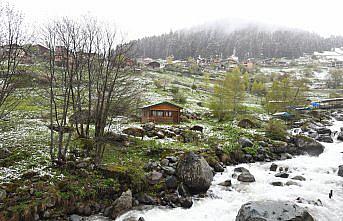 Trabzon yaylaları mayısta beyaza büründü