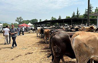 Düzce'de hayvan pazarındaki hareketliliğin haftaya başlaması bekleniyor