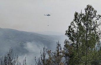 Sinop'ta çıkan orman yangını kontrol altına alındı